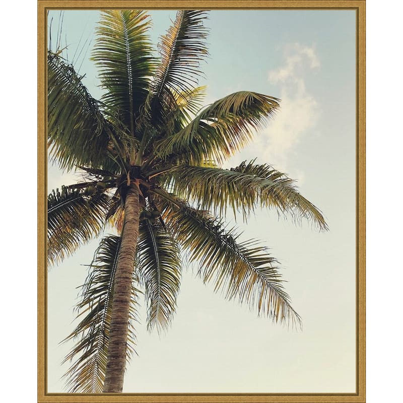 Coconut Palm by Olivia Joy Framed Canvas Art - On Sale - Bed Bath ...