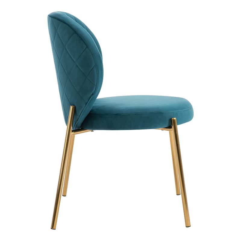 Velvet Dining Chairs Small Cute Accent Chairs with Golden Metal Legs Set of 2