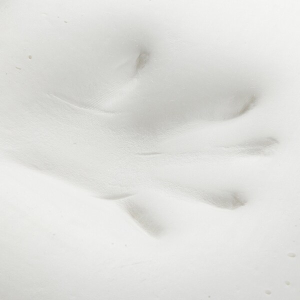 snow memory foam pillow