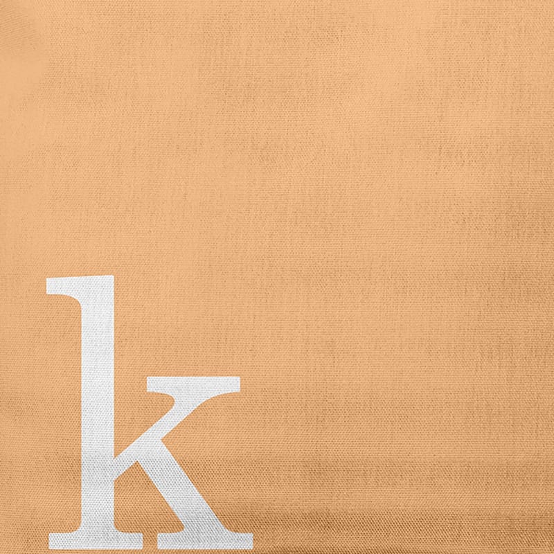 Modern Monogram Decorative Throw Pillow
