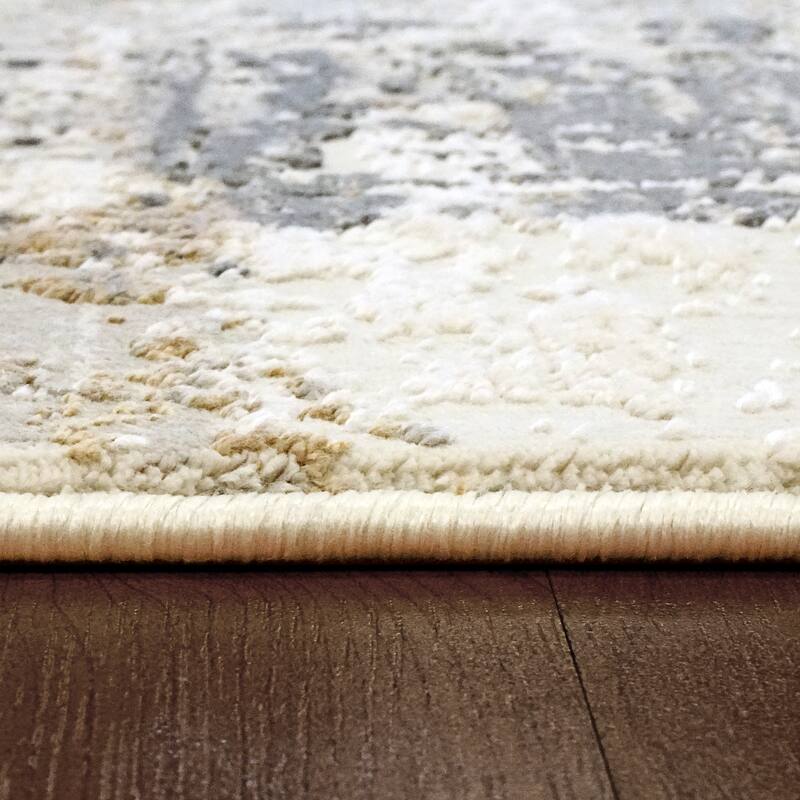Dynamic Rugs Quartz Transitional Area Rug