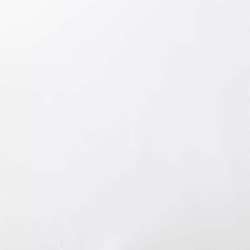 No. 918 Emily Voile Sheer Rod Pocket 1-Piece Curtain Panel, Single Panel