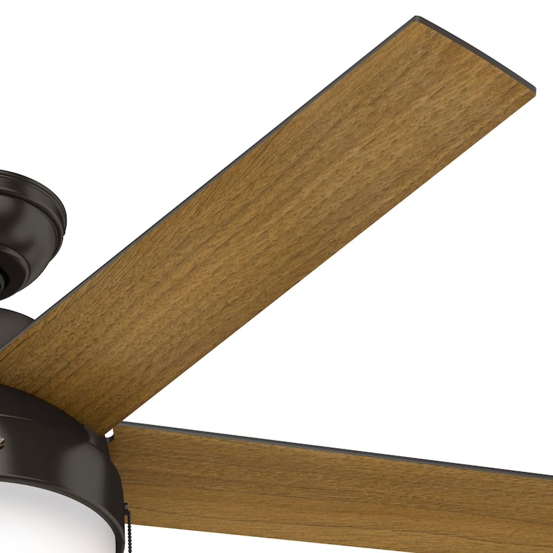Hunter 52" Anslee Ceiling Fan with LED Light and Pull Chain, Modern, Transitional
