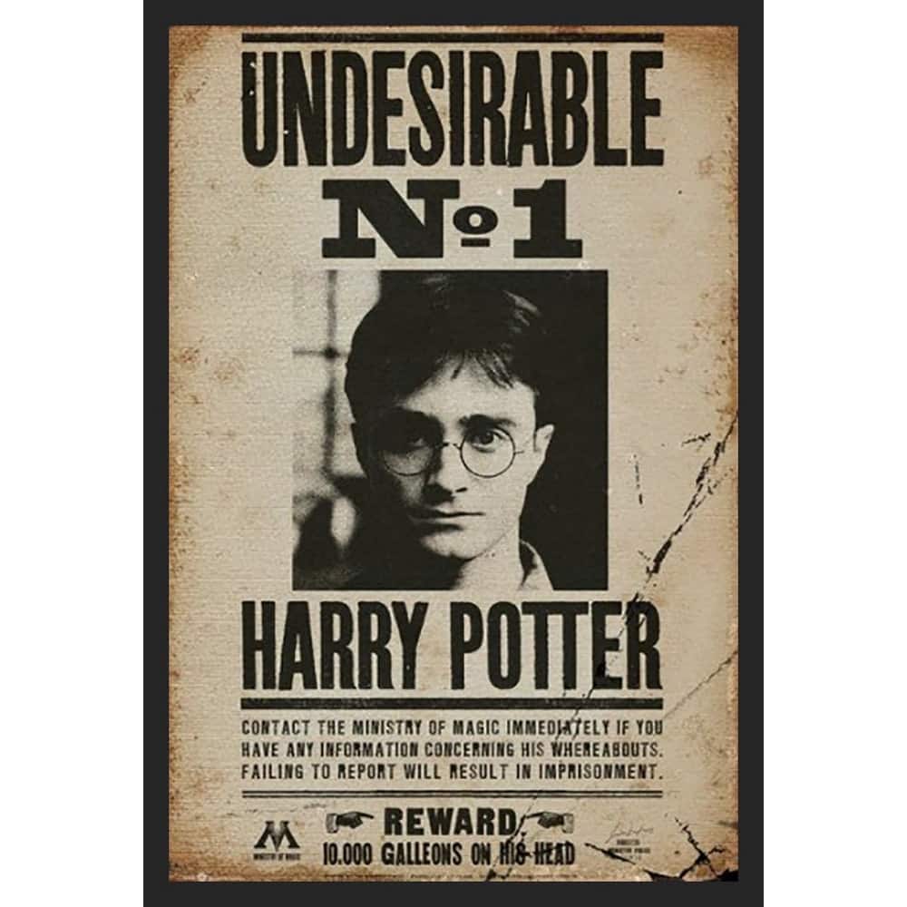 Harry Potter - Undesirable No 1 Wanted Framed Poster - 24 x 36 Inch