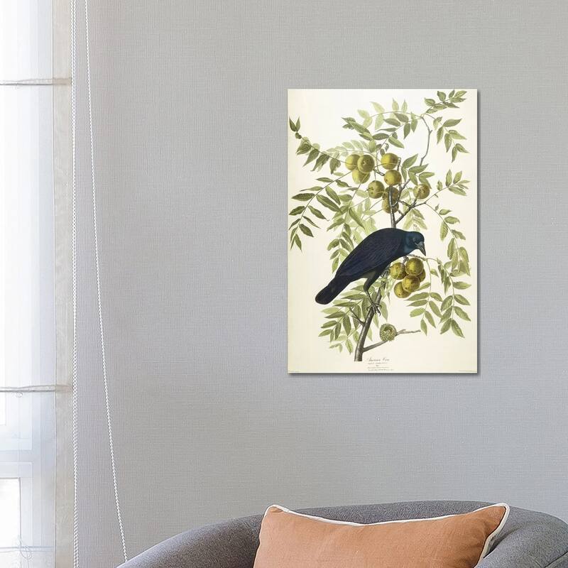 iCanvas "American Crow, 1833" by John James Audubon Canvas Print - 26x18x1.5