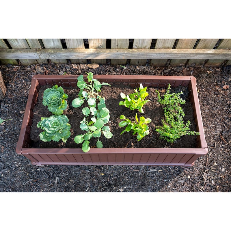 Southern Patio Brown Resin 48-inch Raised Garden Bed Planter - 48" x 24" x 12"