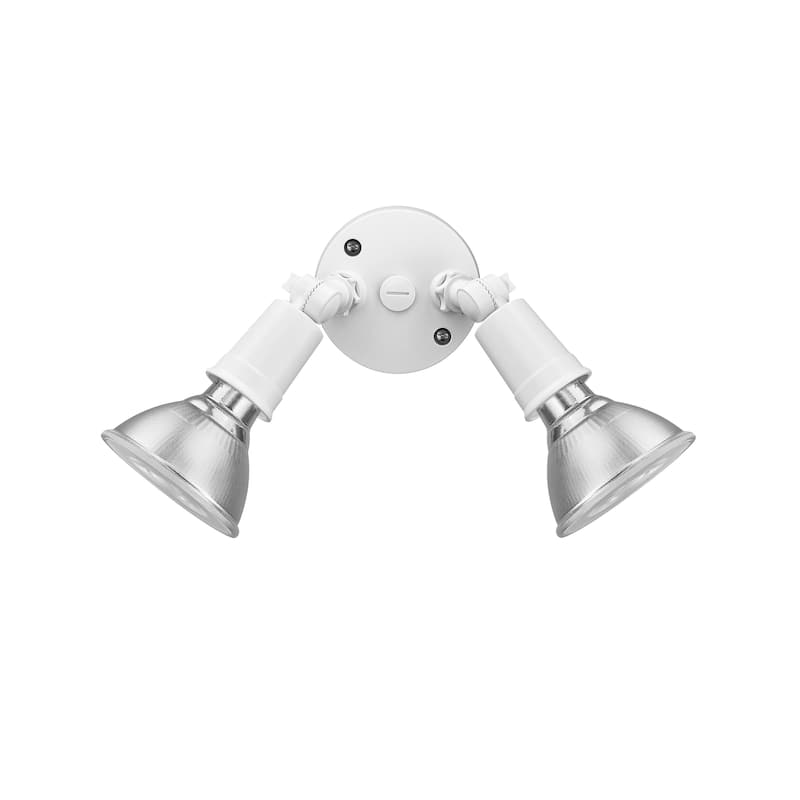 Millennium Lighting 2 Light Flood Light Fixture