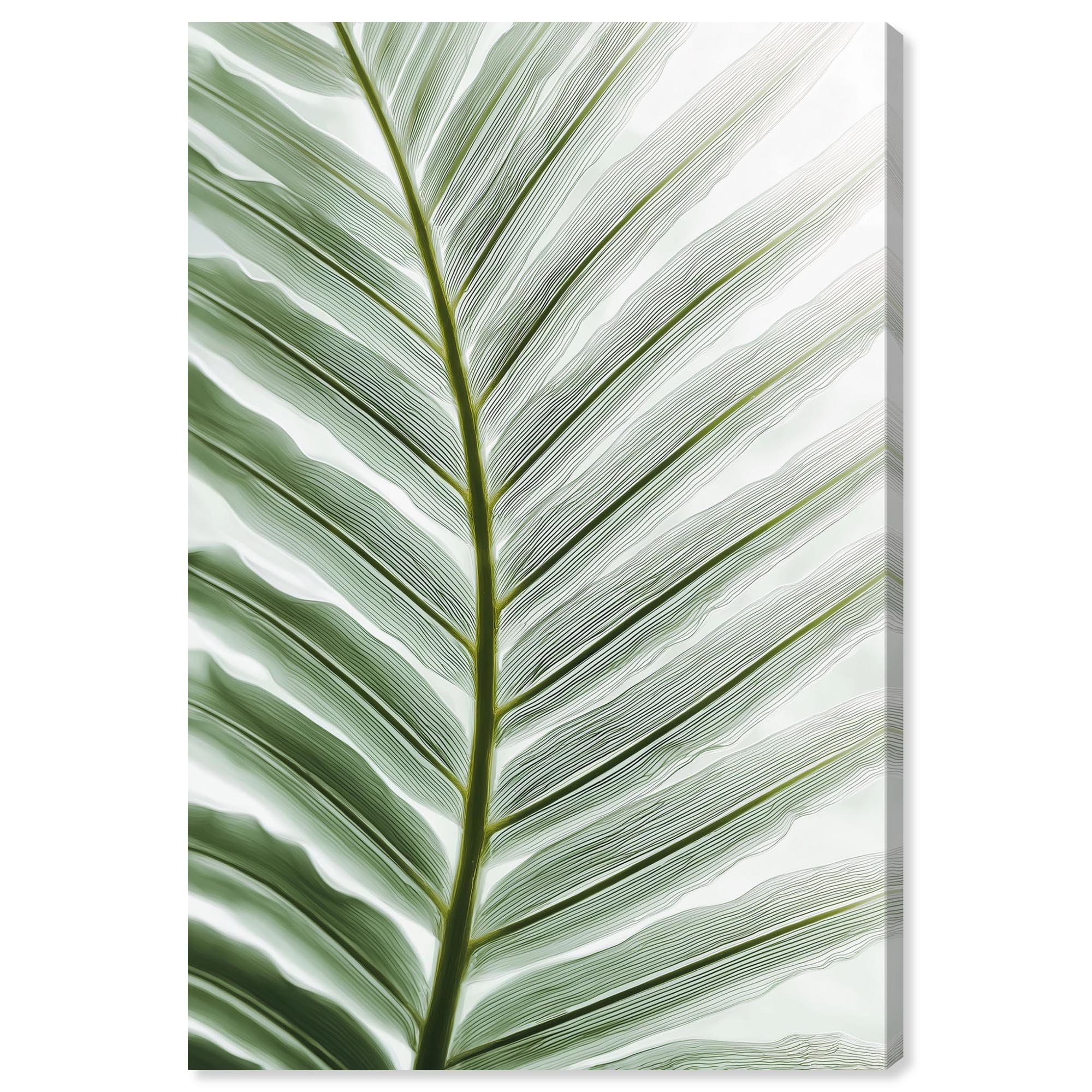 Forest Filigree II Coastal Wall Art Wrapped Canvas Print by Art Remedy