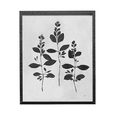 Botanical Study IV Framed Art Print