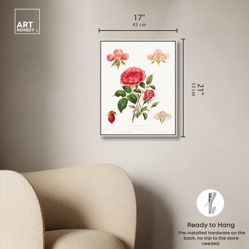 Rose and its parts (1872) Canvas by Art Remedy