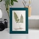 preview thumbnail 17 of 138, Nature Printed Ferns IX -Framed Print w/glass-Cherry Red