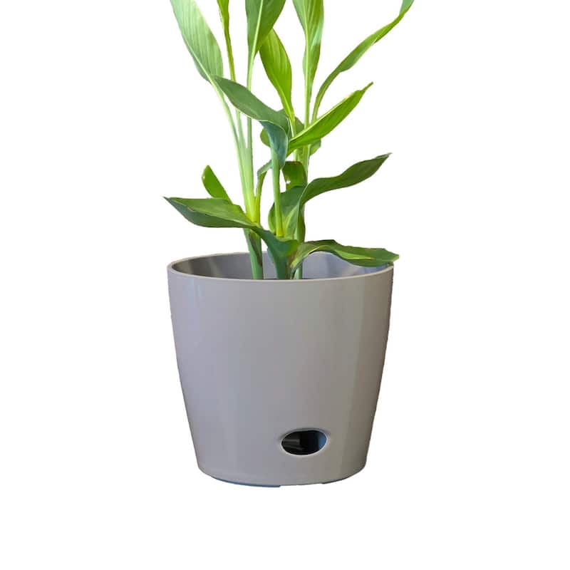 10" Round Self-Watering Indoor/Outdoor Bamboo Pot - Gray
