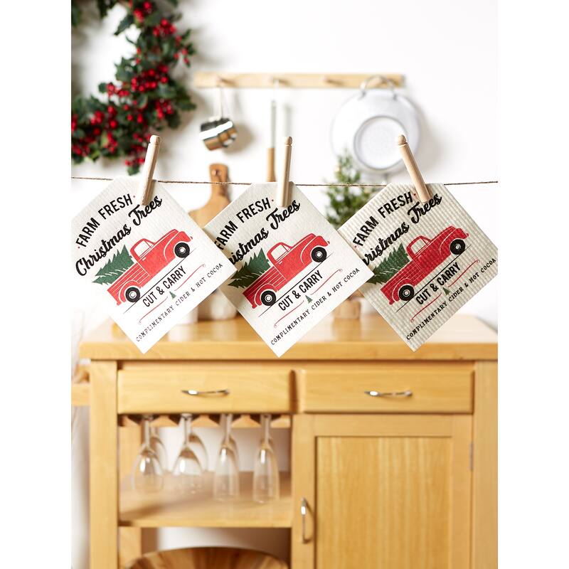 DII Swedish Dishcloth Set/3