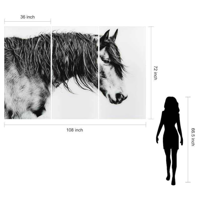Black and White Horse Portrait ABC Frameless Free Floating Tempered Glass Panel Graphic Wall Art Set of 3