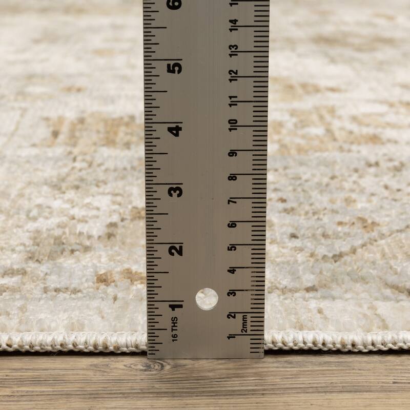 Style Haven Lucia Vintage Traditional Pale Blue/Beige Area Rug