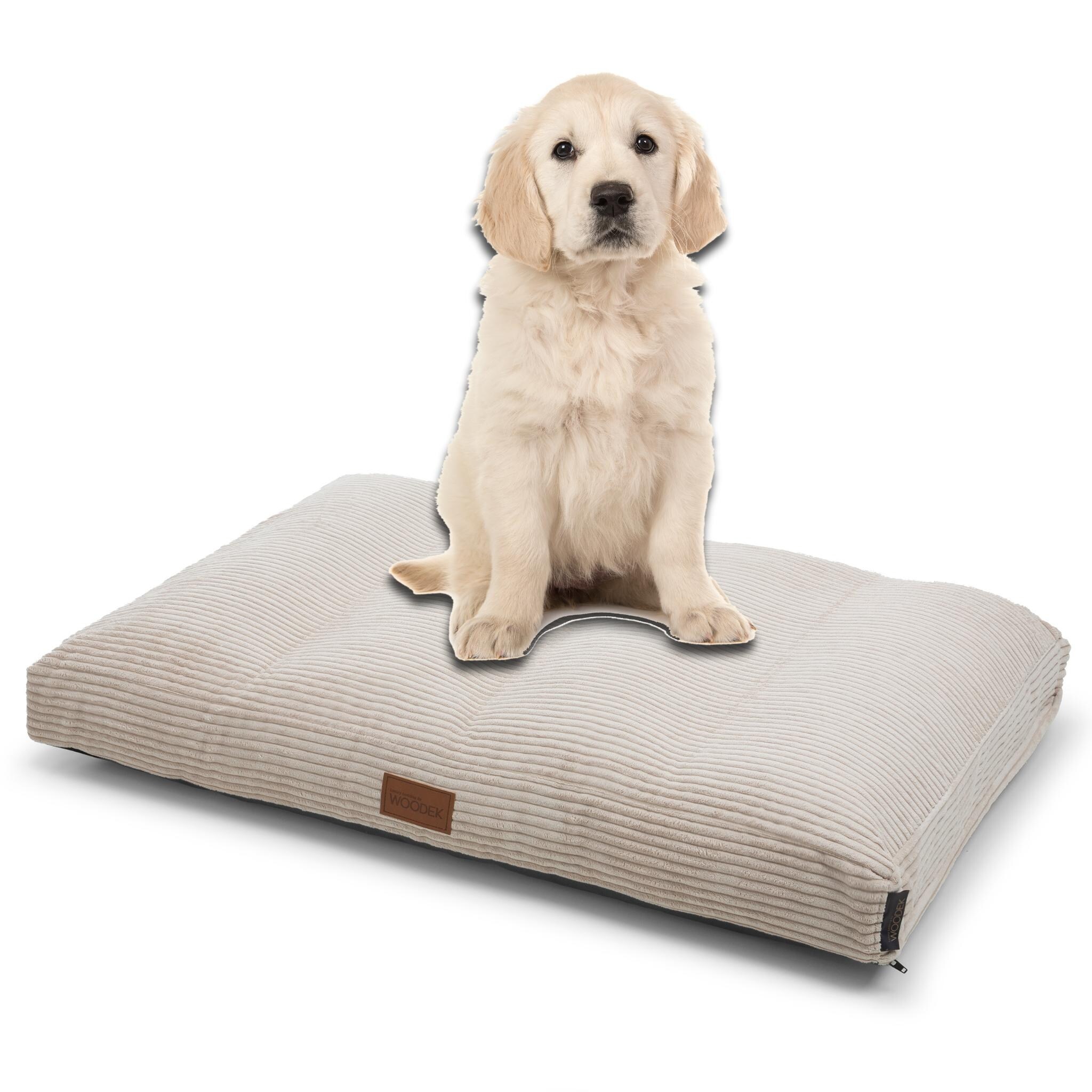 Uggs for dogs bed bath and beyond 2025