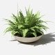 preview thumbnail 106 of 110, Mason Series Lane Bowl Planter