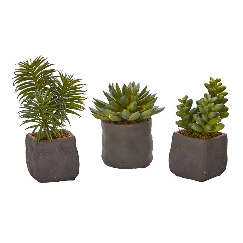 Artificial Succulent Plant with Ceramic Planter - 6 Inch Desert Decor Home Office Living Room - Green - 8