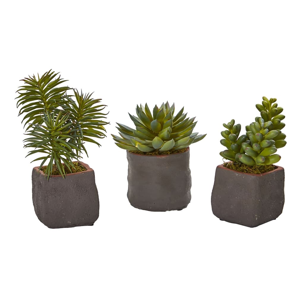 Artificial Succulent Plant with Ceramic Planter - 6 Inch Desert Decor Home Office Living Room - Green - 8