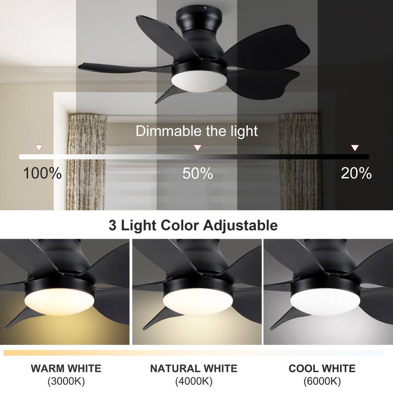 Modern Small Ceiling Fan Light with 3 Color Temperatures and 5 Blades, 6 Adjustable Wind Speeds for Bedroom and Living Room