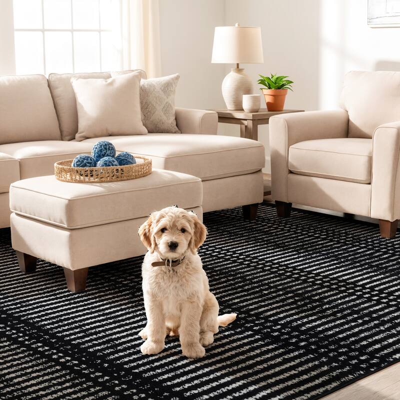 Contemporary Minimalistic Stripe LInes Area Rug - 5' x 7' - Black