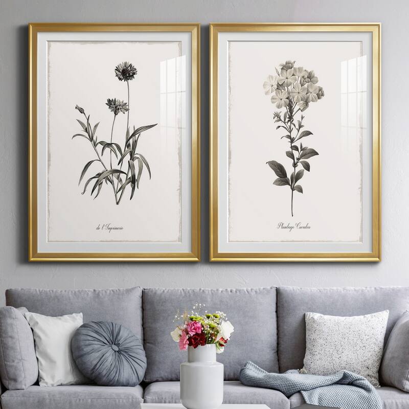 Sketchbook Imperial Premium Framed Print - Ready to Hang