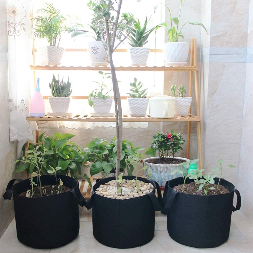 5 Pack Grow Bags Garden Heavy Duty Non-Woven Aeration Plant Fabric Pot Container 