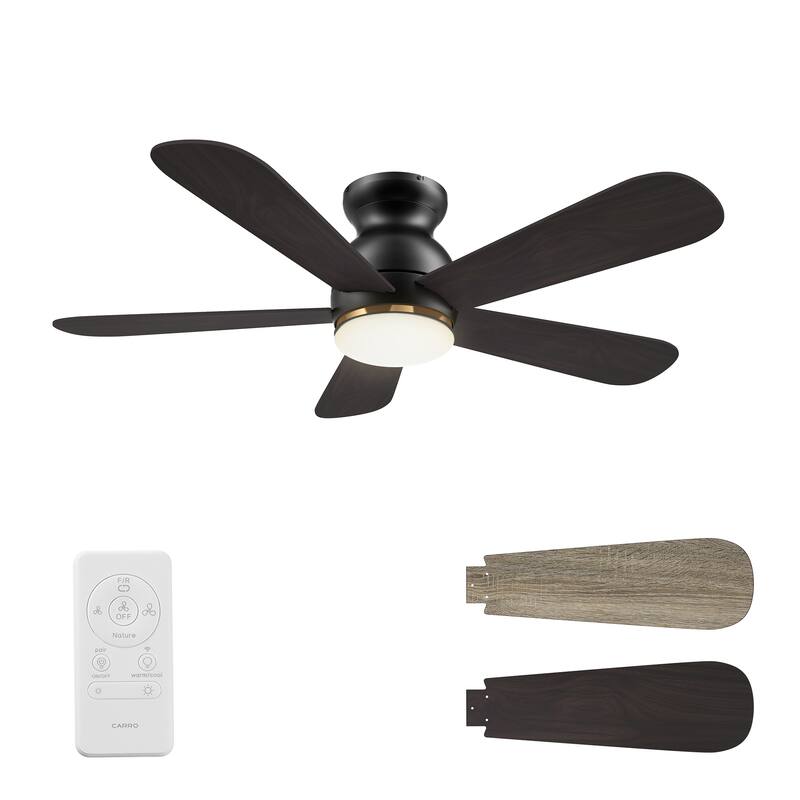 CARRO Quest 48" 5-Blade Smart Ceiling Fan with Light and Remote