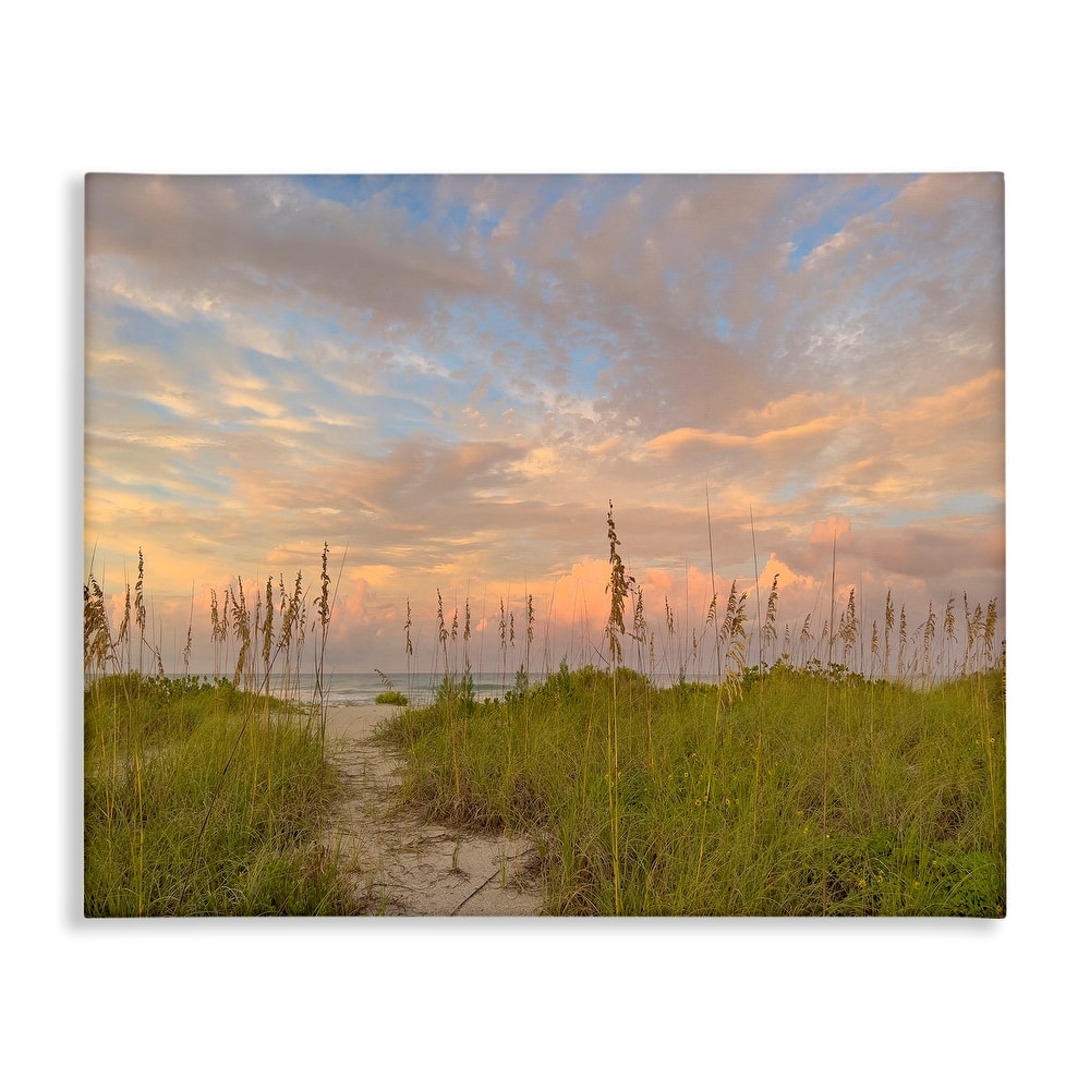 Stupell Serene Coastal Path Grasses Canvas Wall Art Design By Mary Lou Johnson