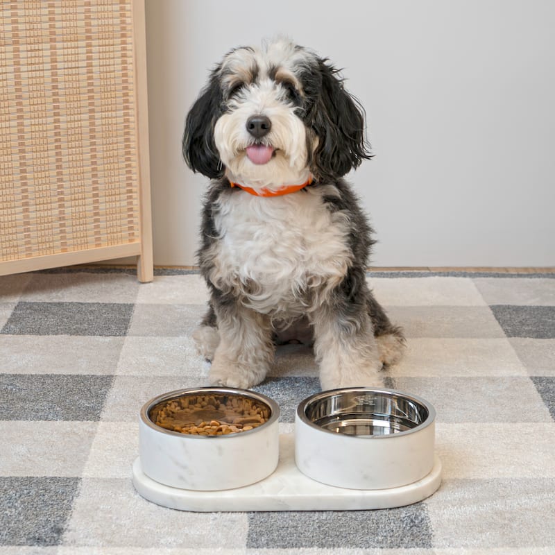 Marbre 12oz Double Pet Bowl Set - Marble & Stainless Steel with Non-Slip Tray