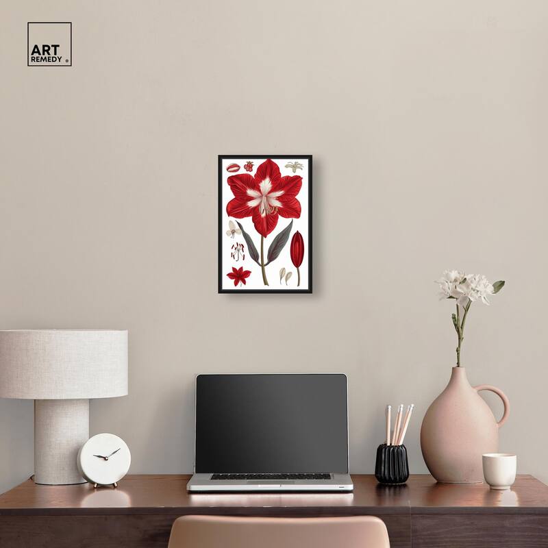 Amaryllis Anatomy Canvas by Art Remedy