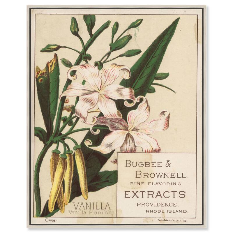 Vanilla Planifolia Canvas by Art Remedy - Silver - 30" x 36"