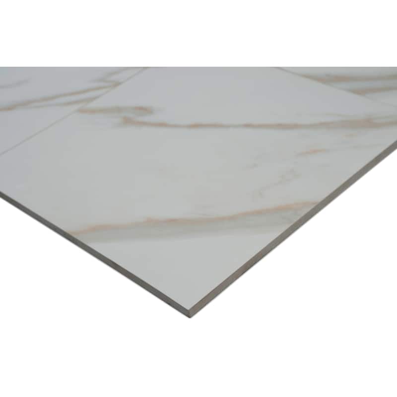 Ackland AKNPTAST24X24P-PL Astoria - 24" x 24" Porcelain Solid Floor