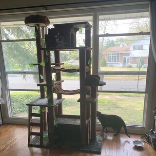 Shop Kitty Mansions Amazon Green Cat Tree Furniture Overstock