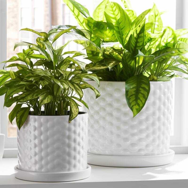 Ceramic Planter Dot Texture Gloss Finish (Set of 2) - 10", 9" White - 12" x 12" x 10"