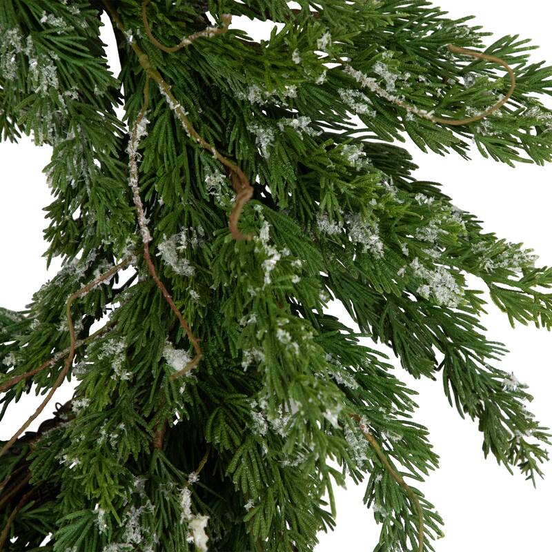 Real Touch™️ Iced Cedar Artificial Christmas Wreath - 24" - Unlit