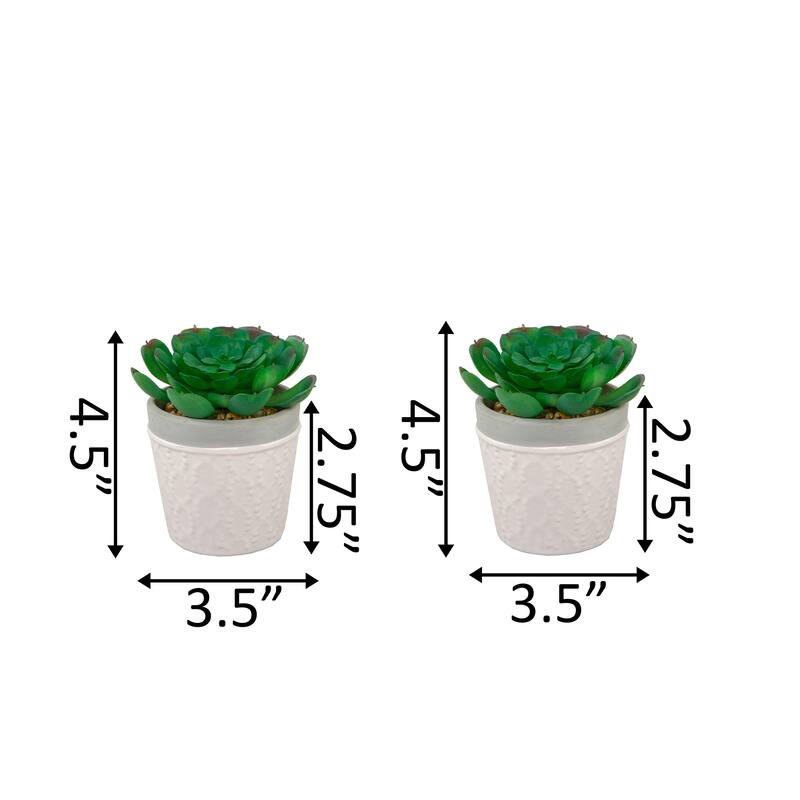 SET OF 2 Artificial Plant Succulent in 3" Dress Icecream Pot - ONE-SIZE