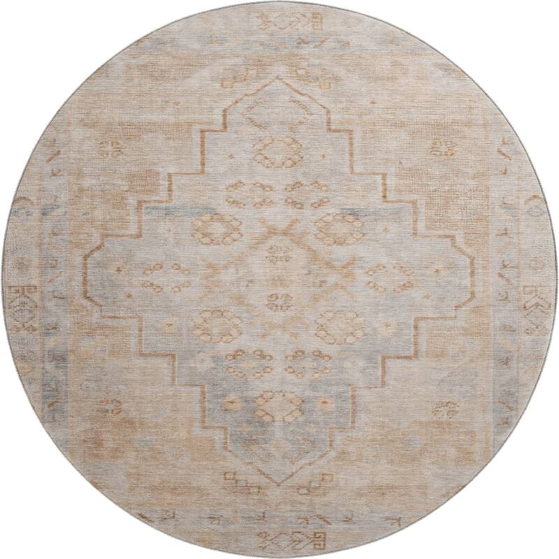 Premium Washable Super Soft Vintage Traditional Mayfield Rug
