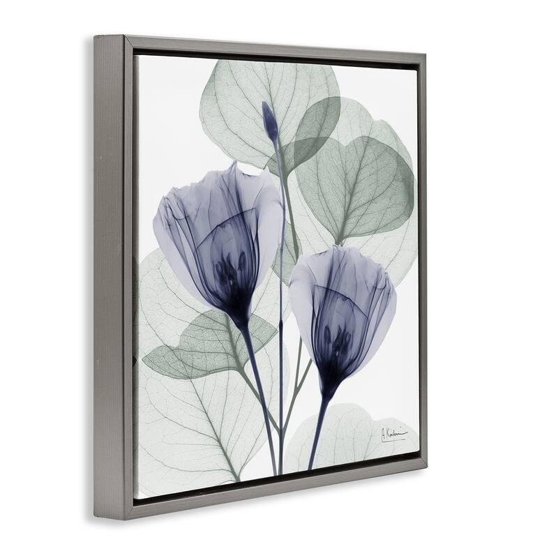 Stupell Contemporary Eucalyptus & Herbs Framed Floater Canvas Wall Art Design By Albert Koetsier