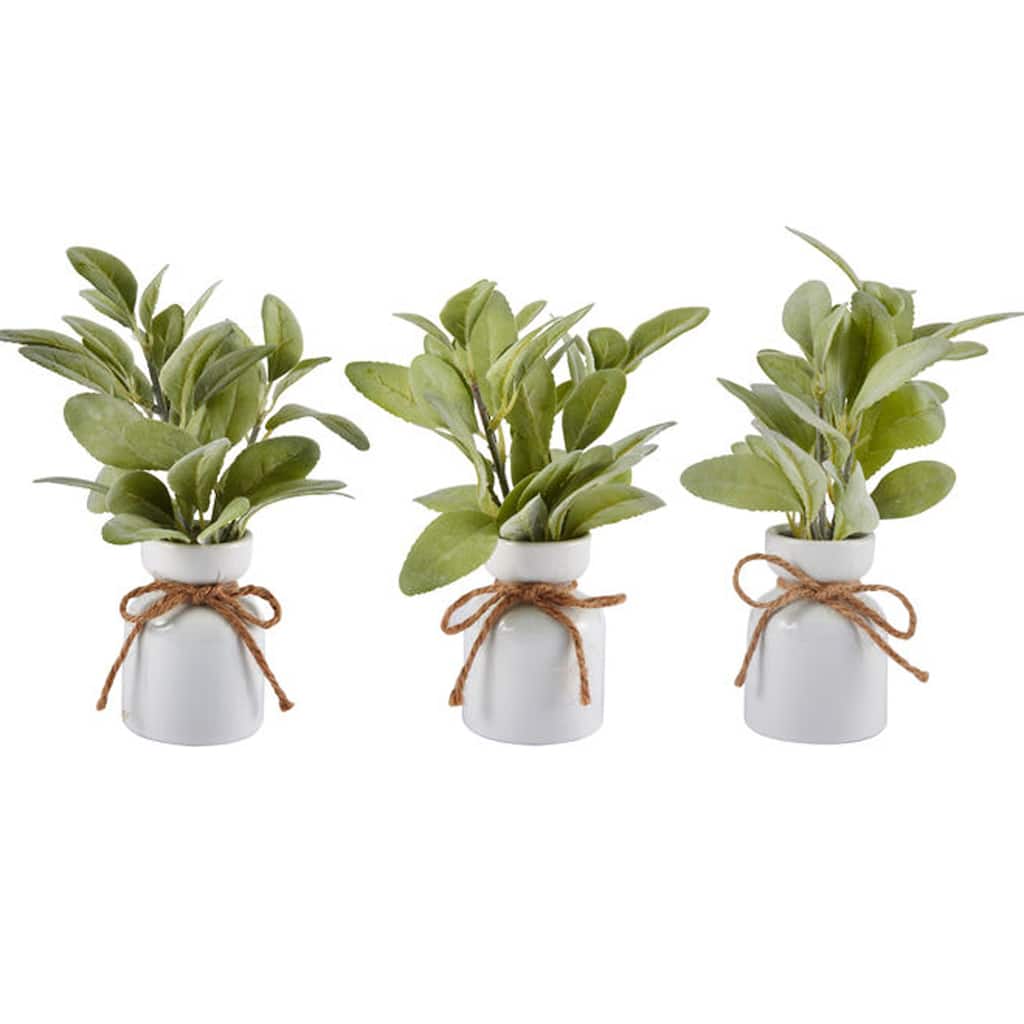 Elements Set of 3 Lamb's Ear Artificial Greenery, 9 Inch - N/A