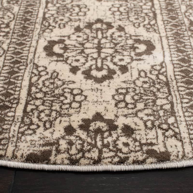 SAFAVIEH Evoke Gelinda Vintage Boho Rug
