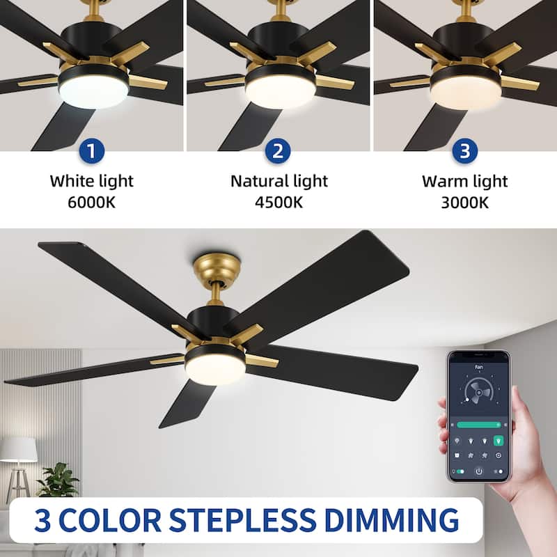 Moasis 52 Inch Dimmable Ceiling Fan with Light Remote and APP Control