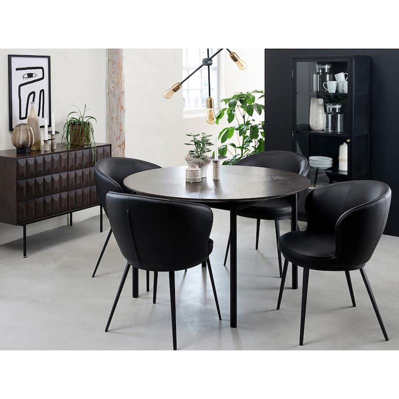 Rye Studio Cairyn Modern Glass and Metal Cabinet