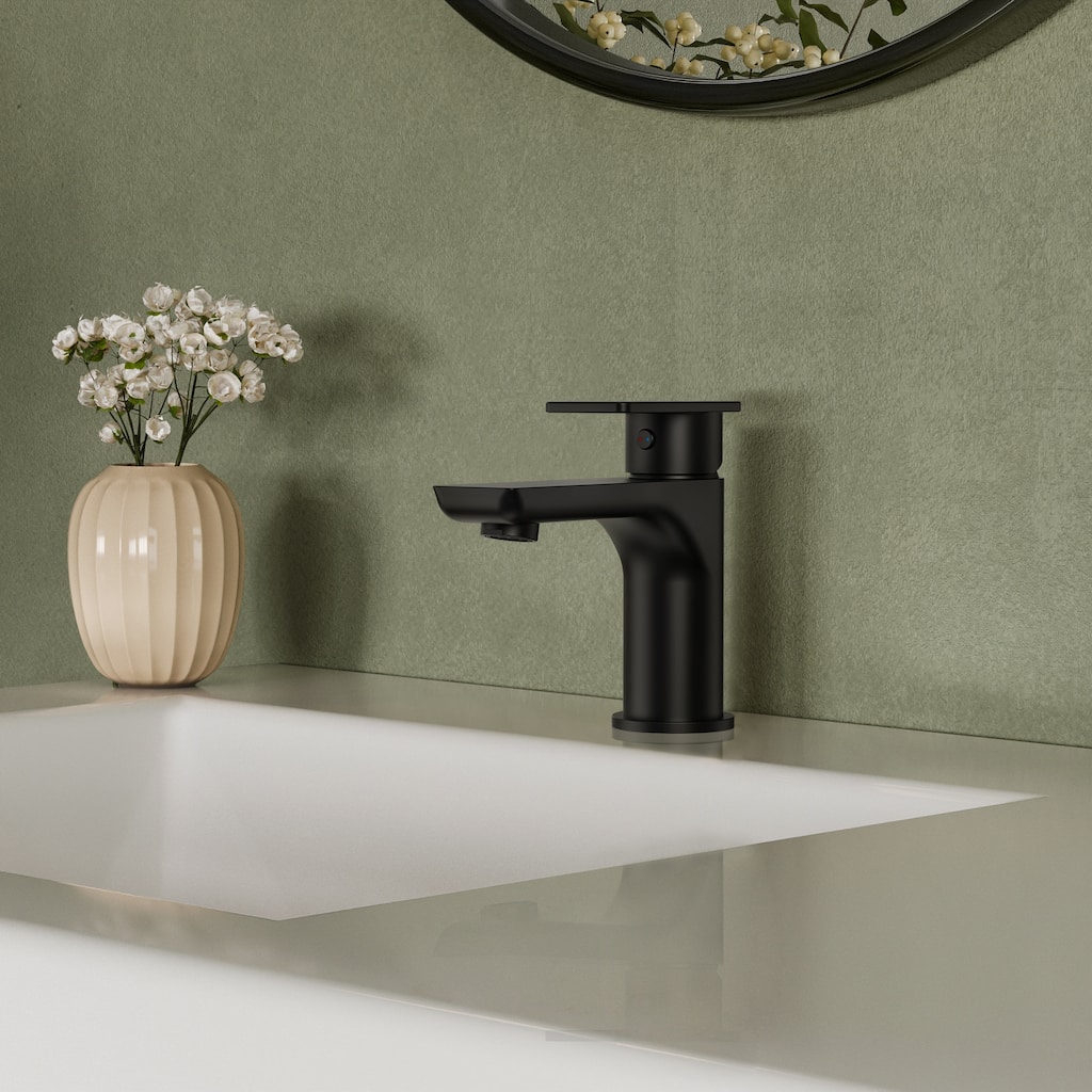 Single Hole Bathroom Faucet with Drain Assembly, Single Handle Bathroom Sink Faucet