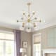 Option Gold Finish with Clear Glass Shades