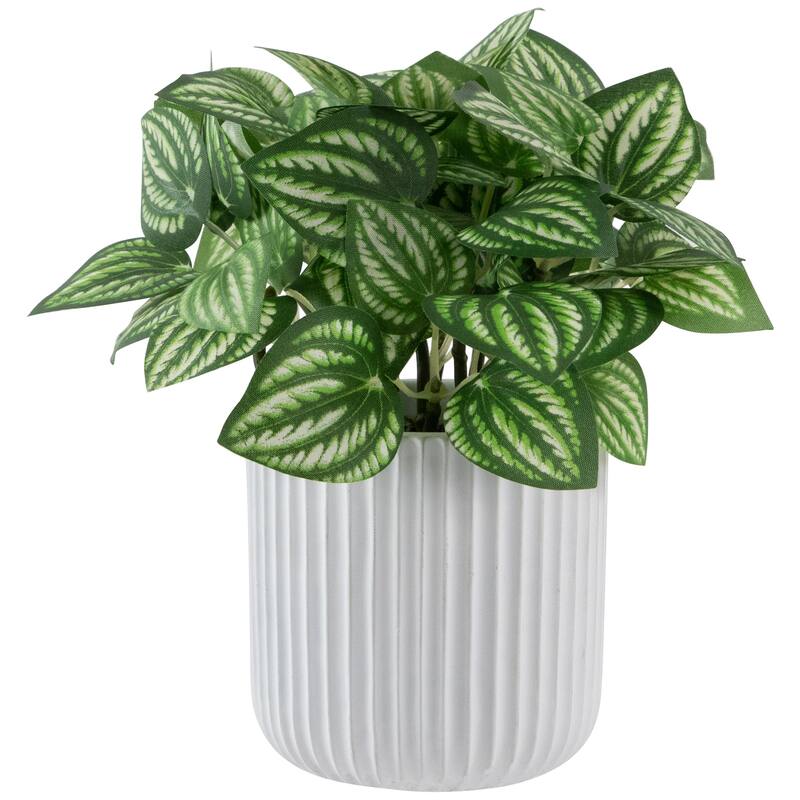 Artificial Watermelon Peperomia Plant in Pot - 6.5"