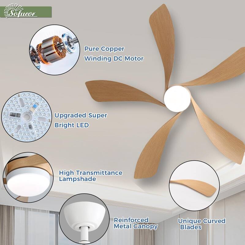 52 Inch Ceiling Fan with Remote & Lights Quiet DC Motor 5 Blade High CFM Modern Fan