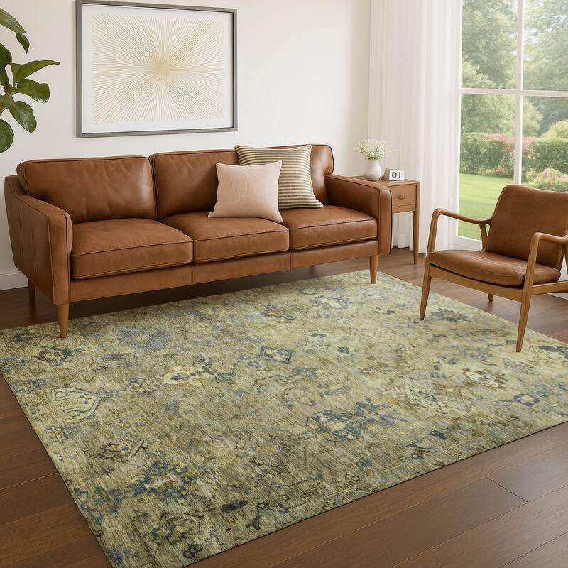 Machine Washable Indoor/ Outdoor Traditional Serenity Chantille Rug