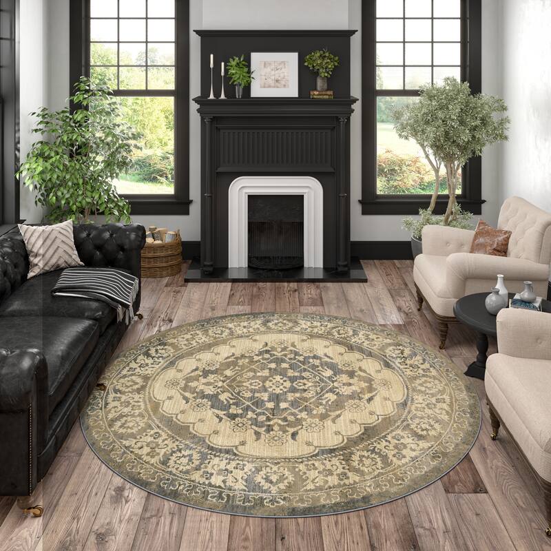 Soho Traditional Medallion Indoor Area Rug