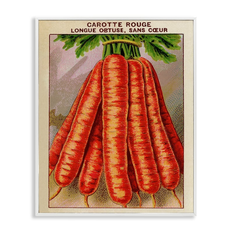 Stupell Country Vintage Carrots Framed Giclee Art Design By Lil' Rue - 16 x 20 - White